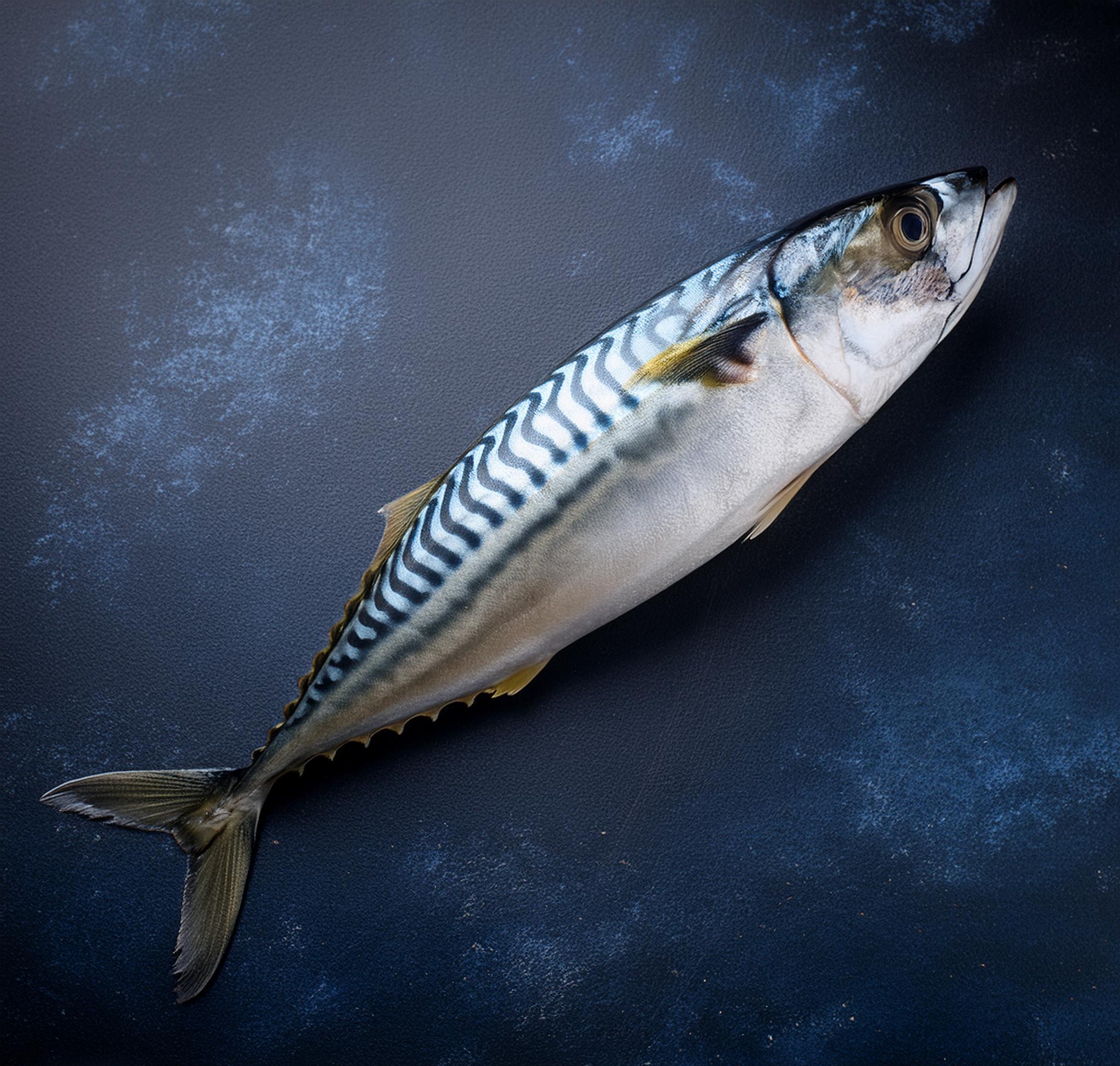 Mackerel Product Image